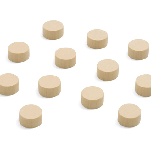 20 x 11 mm birch wood cylinder